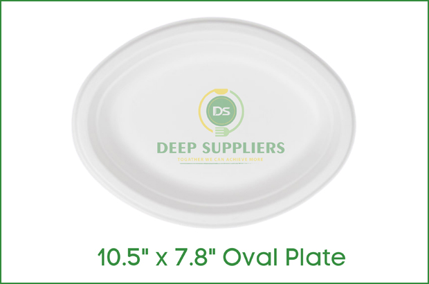 Supplier of Oval Plate in Michigan