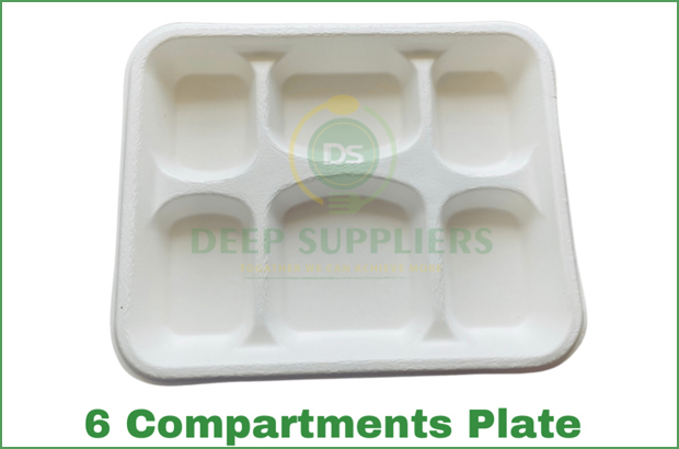 Supplier of 6 Compartment Plate in Michigan