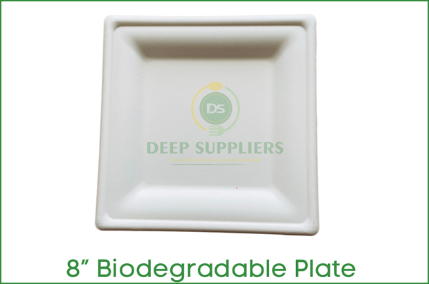 Supplier of 8 square Plate in Michigan