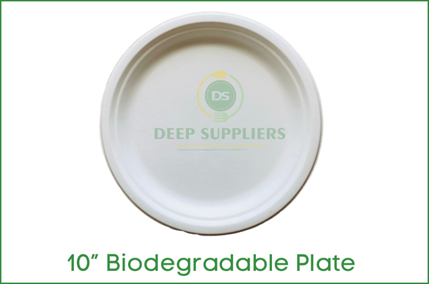 Supplier of 10 inch plate (Plain) in Michigan