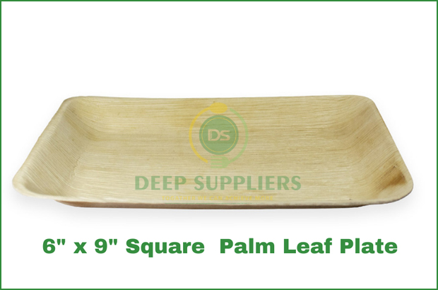 Supplier of Palm Leaf 6 x 9 Rectangle Plate in Michigan