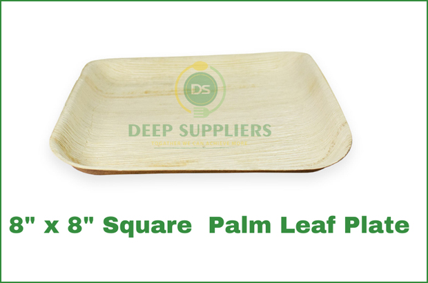 Supplier of Palm Leaf 8 x 8 Square Plate in Michigan