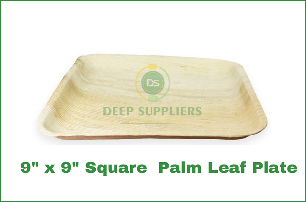 Supplier of Palm Leaf 9 X 9 Square Plate in Michigan